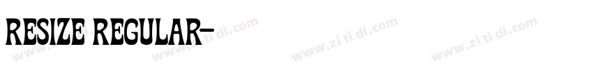 Resize regular字体转换 Resize regular字体转换